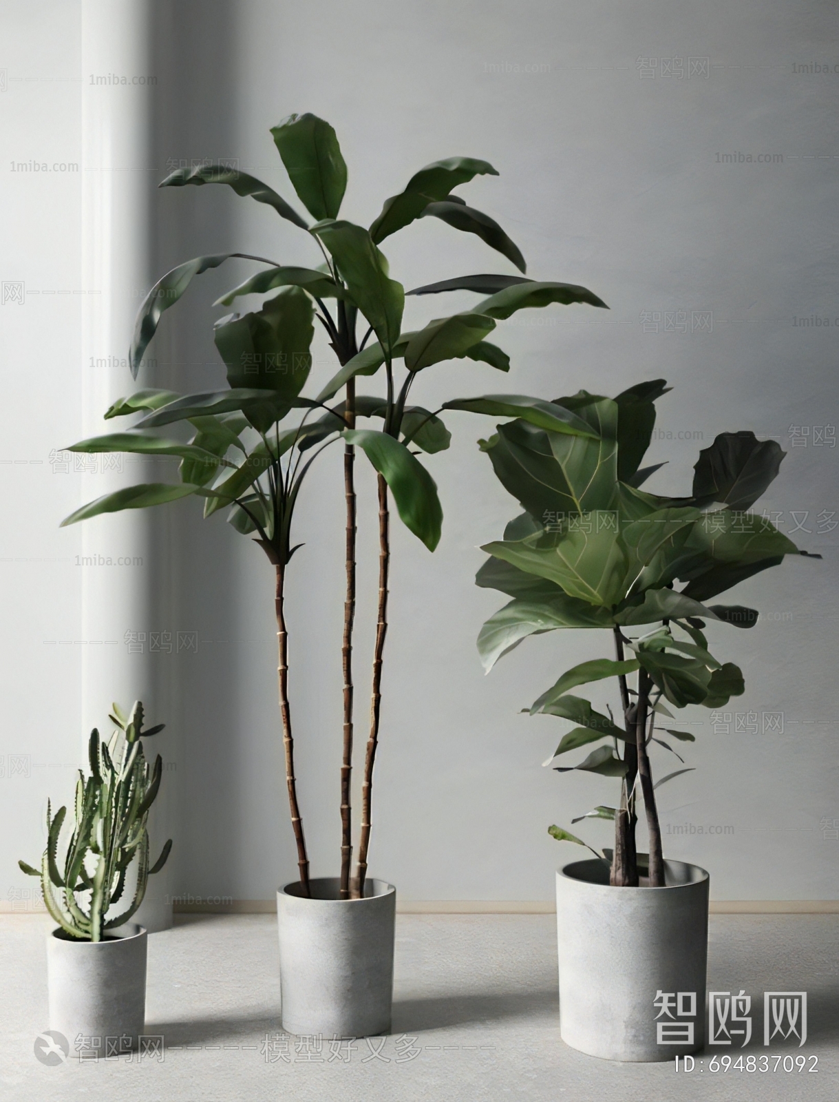 Modern Ground Green Plant Potted Plants