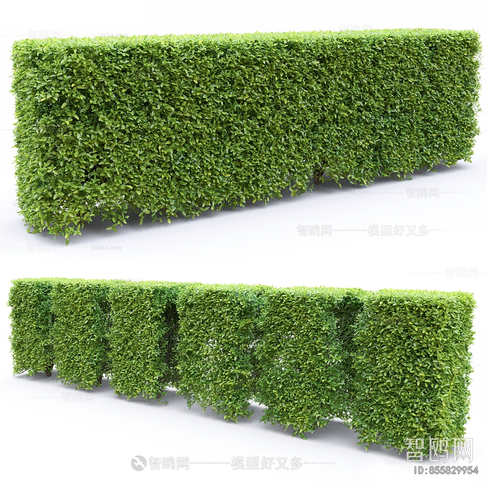 Modern Shrubbery