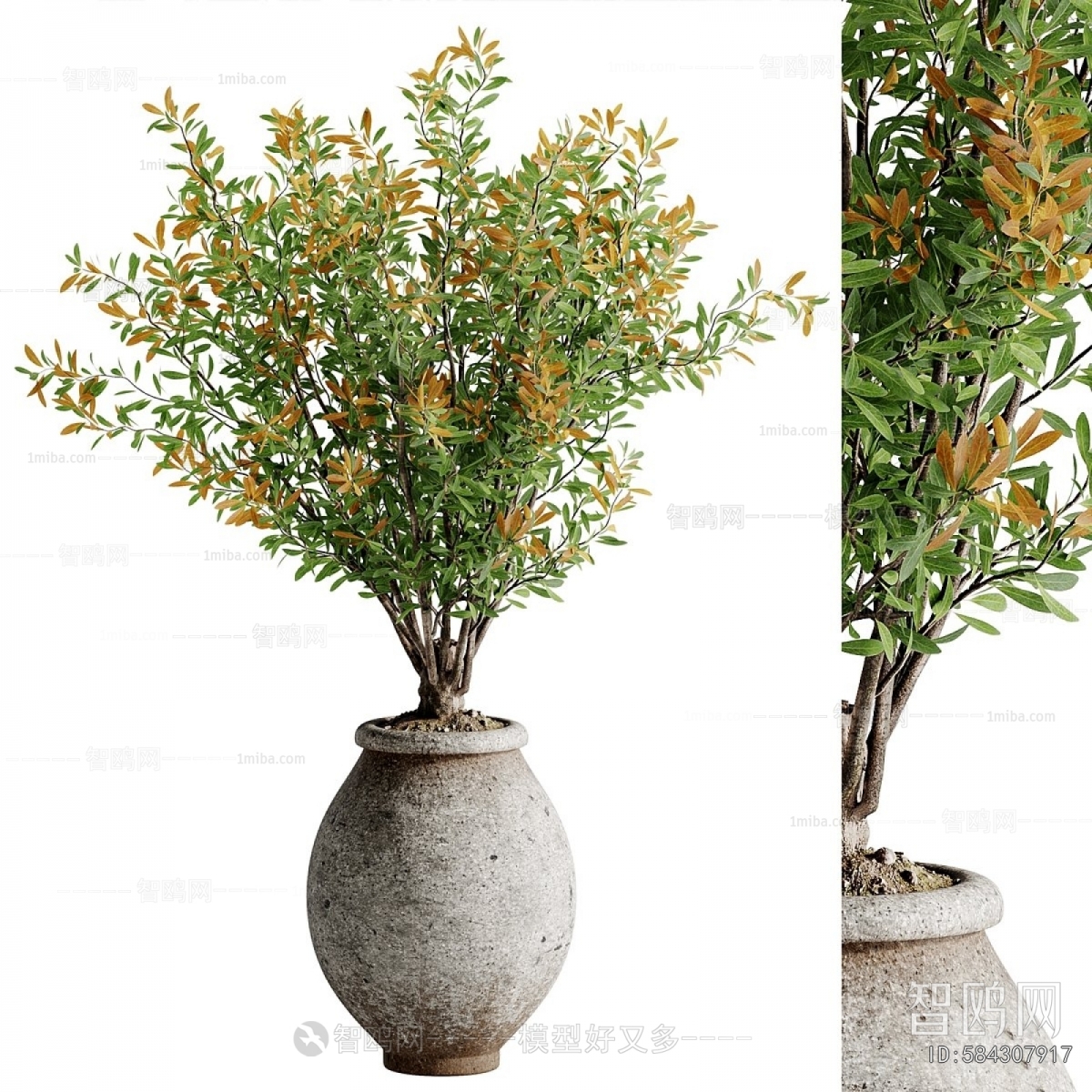 Wabi-sabi Style Ground Green Plant Potted Plants