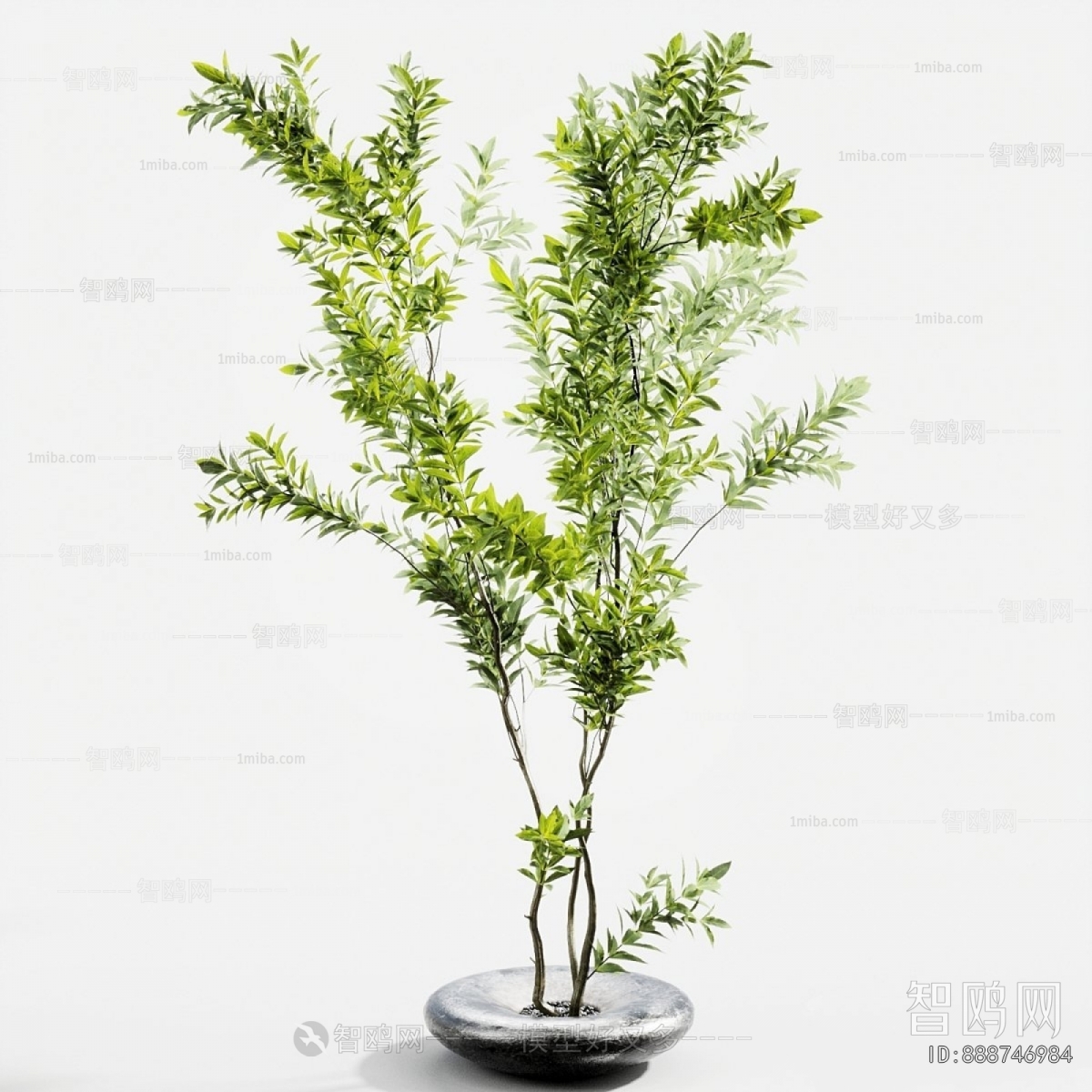 Modern Ground Green Plant Potted Plants