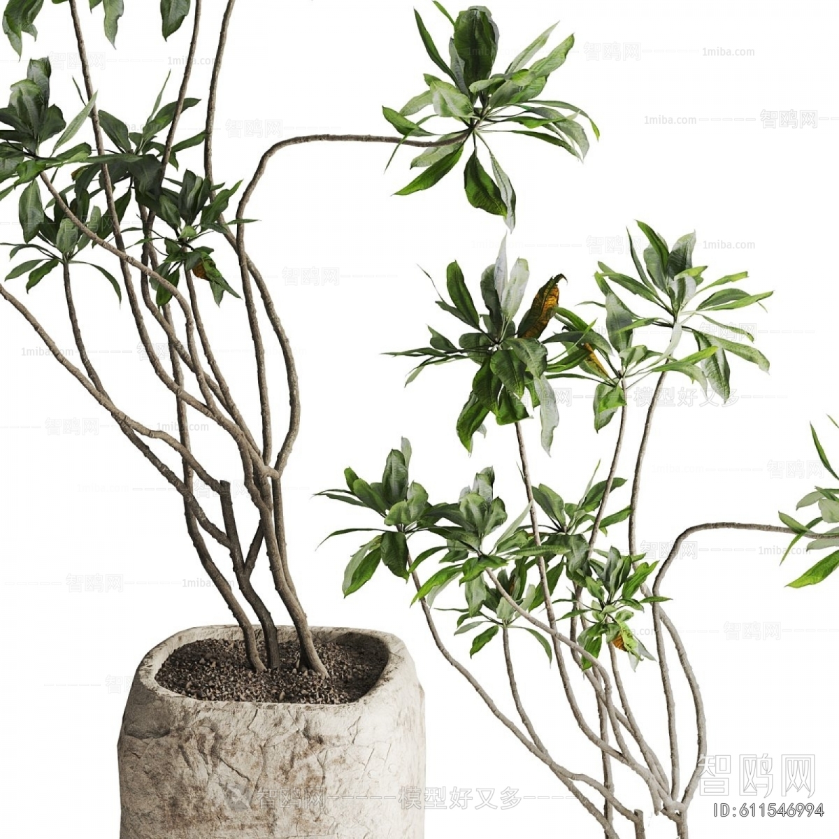 Modern Ground Green Plant Potted Plants