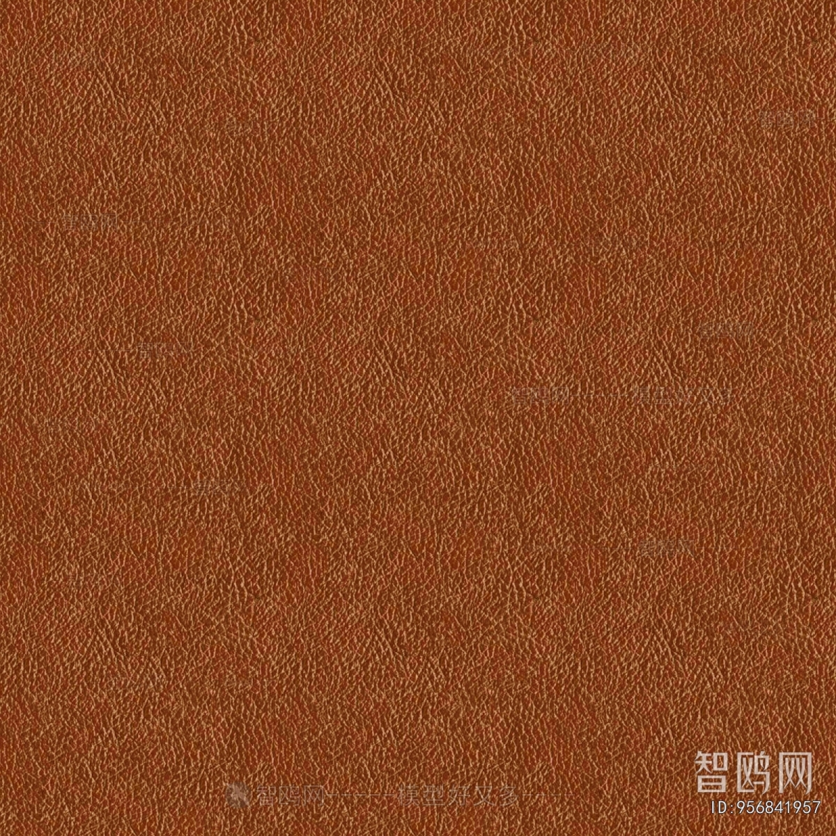 Fine Grain Leather