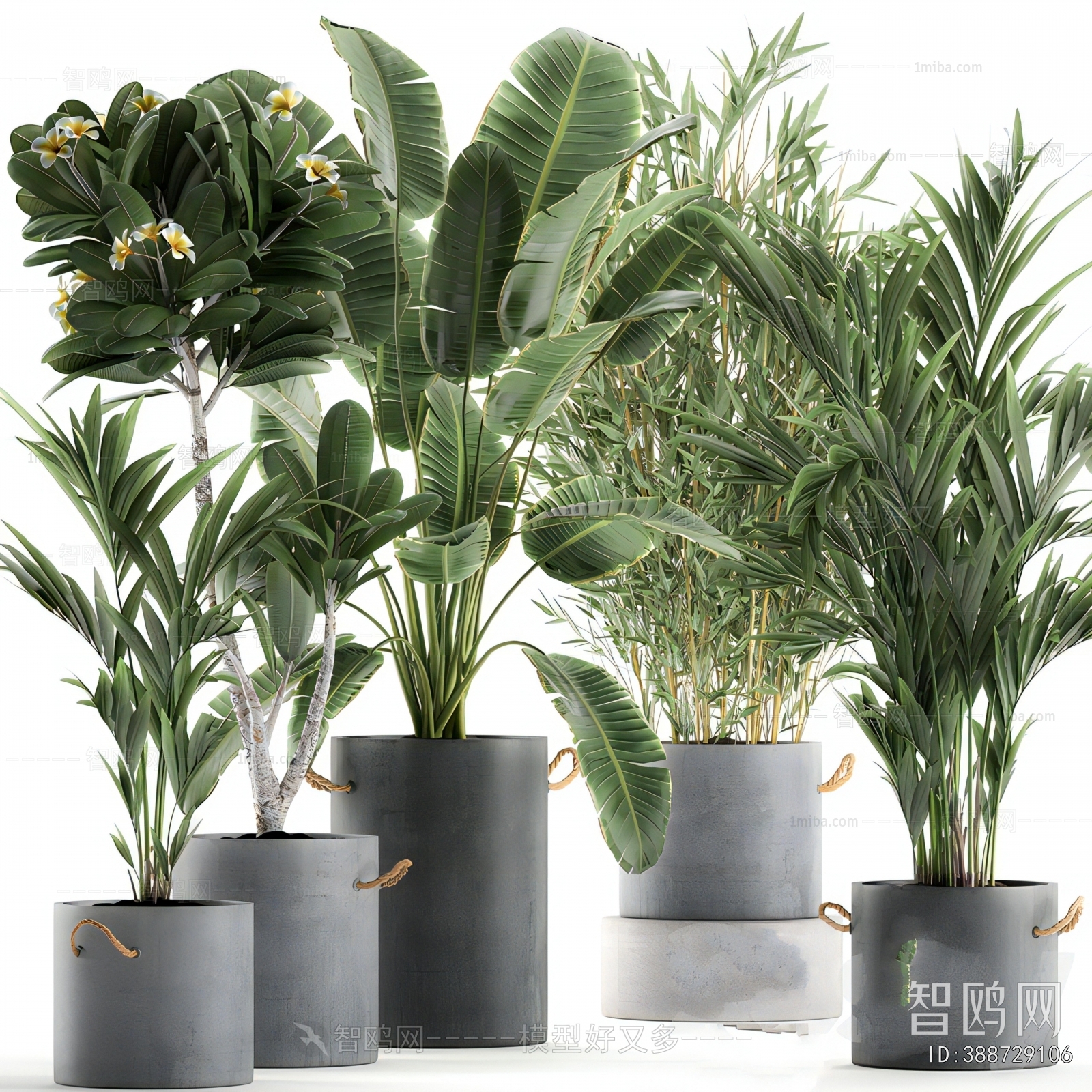 Modern Ground Green Plant Potted Plants