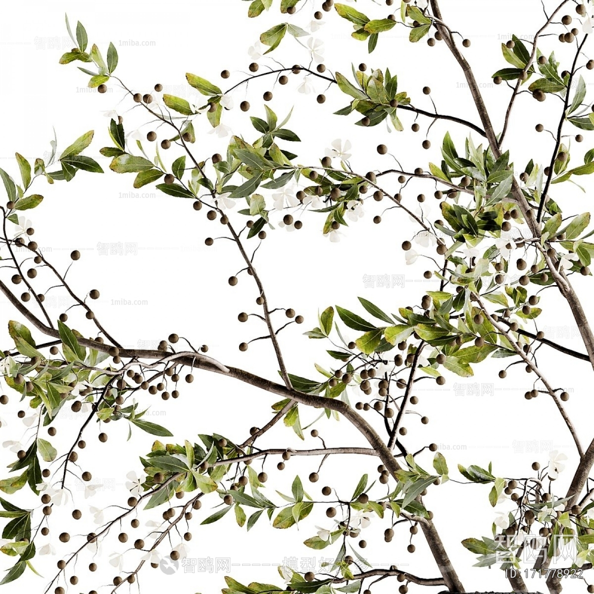 Modern Aquatic Green Plant