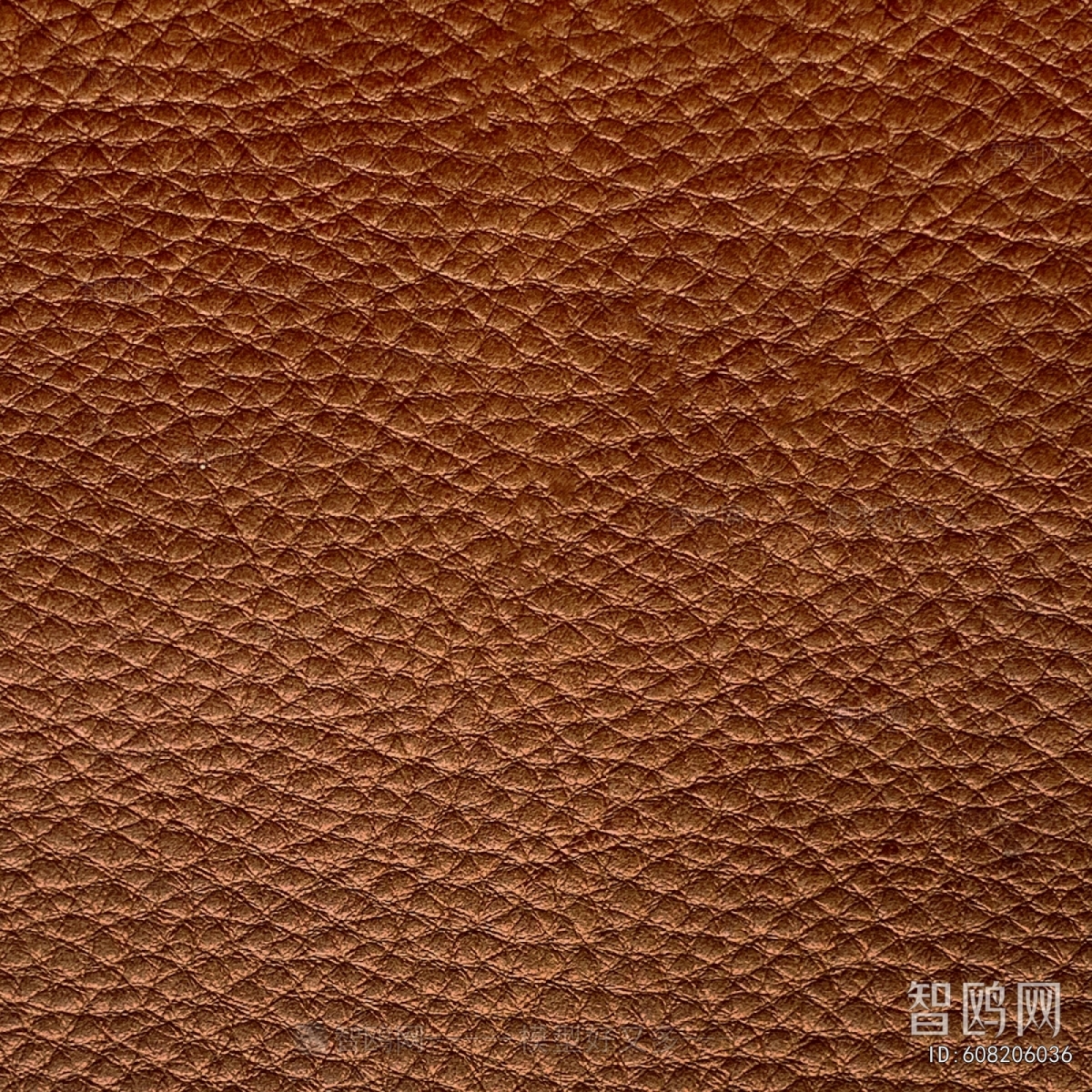 Fine Grain Leather