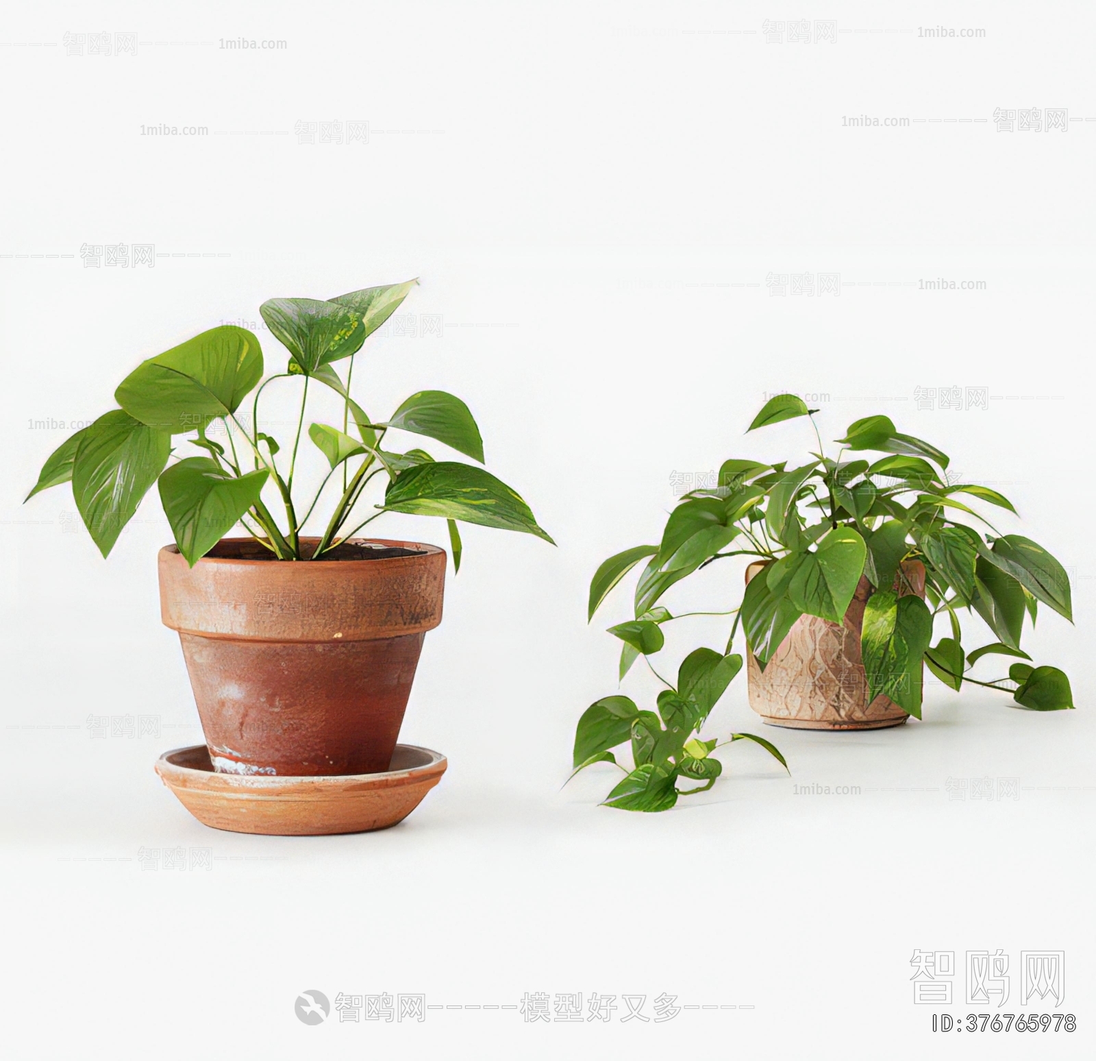 Modern Potted Green Plant