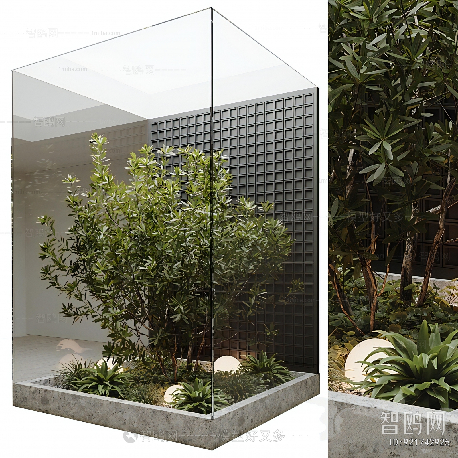 Modern Plant Landscaping