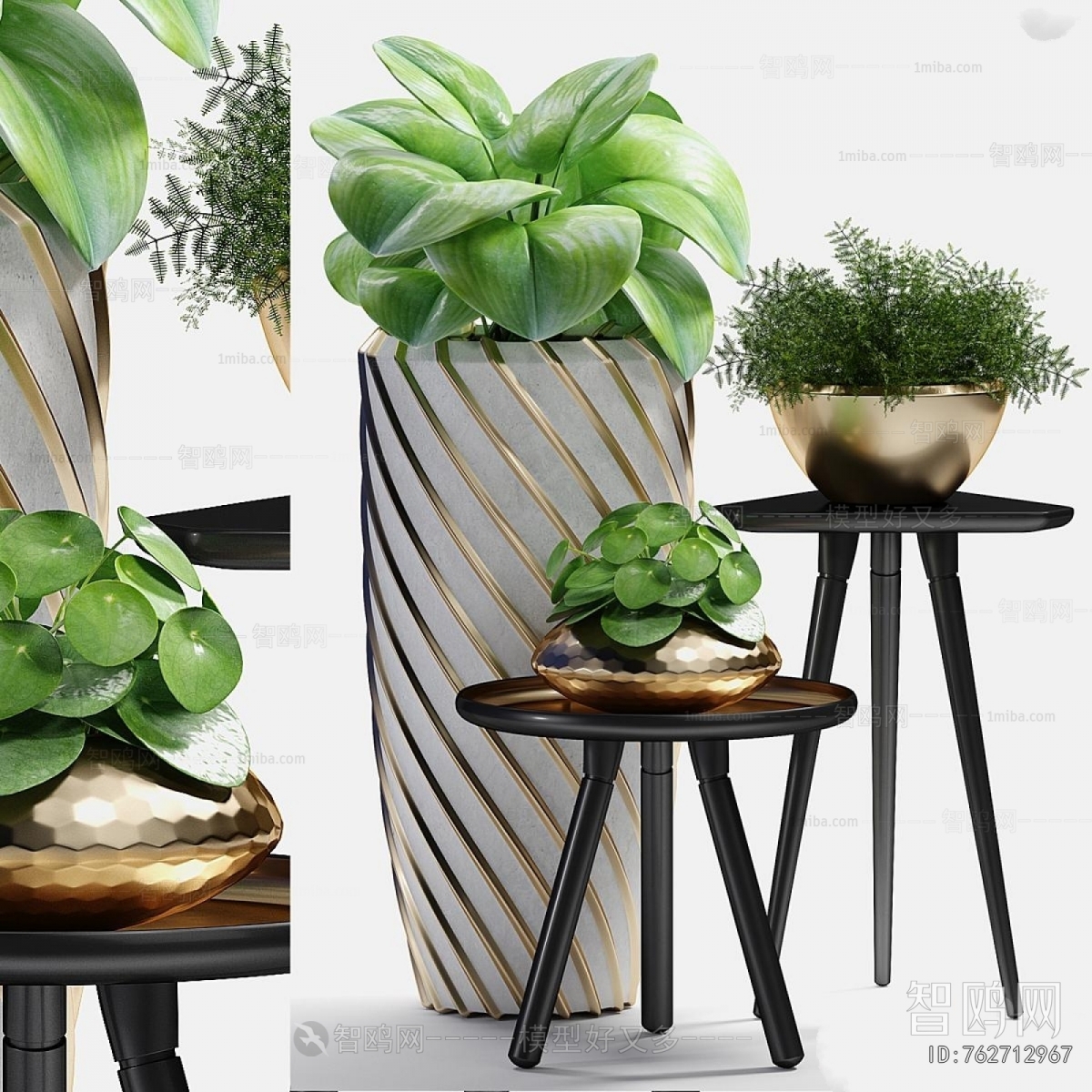 Modern Potted Green Plant