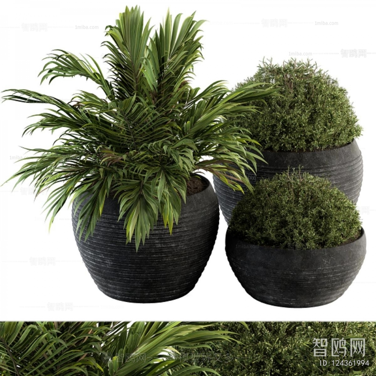 Modern Ground Green Plant Potted Plants