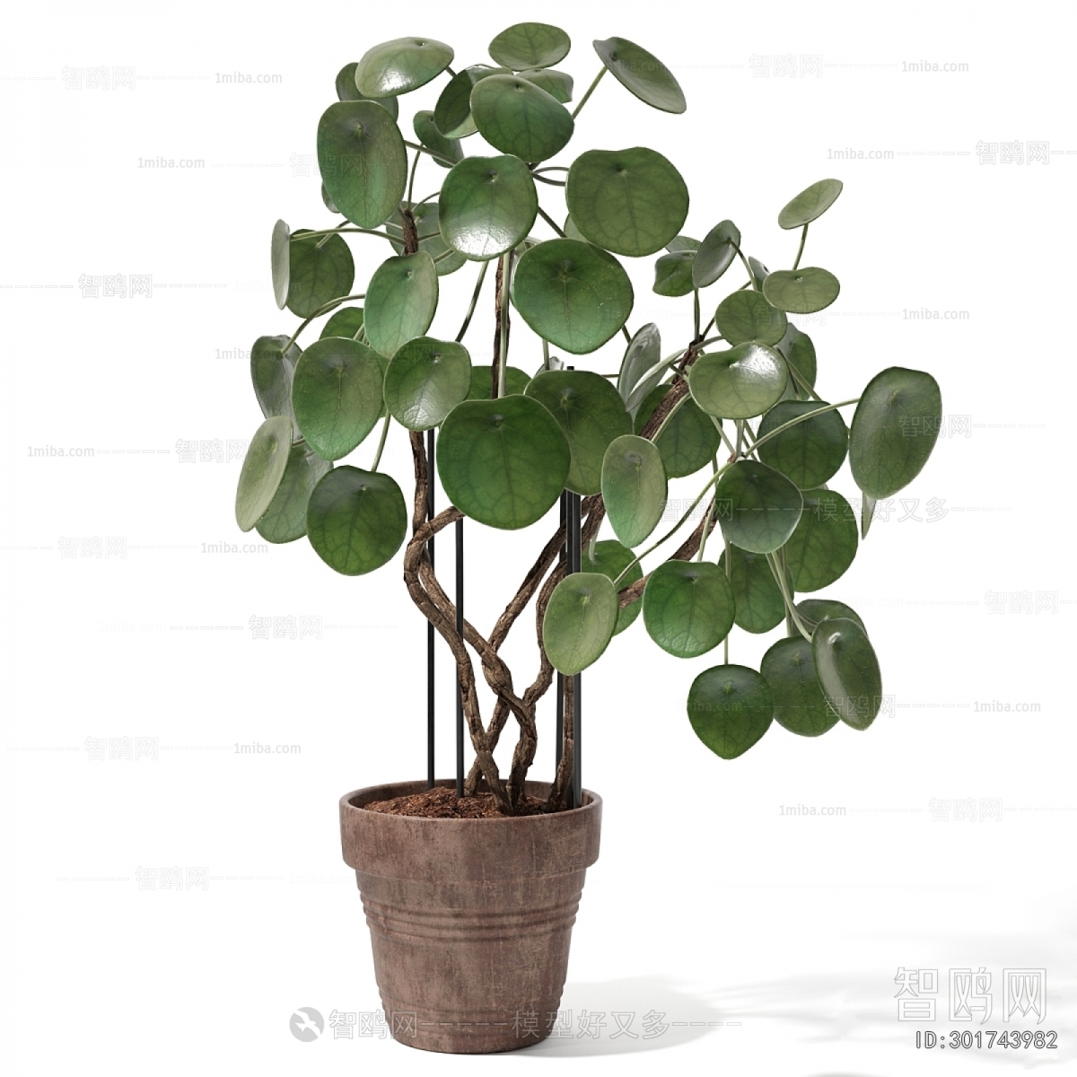 Modern Ground Green Plant Potted Plants