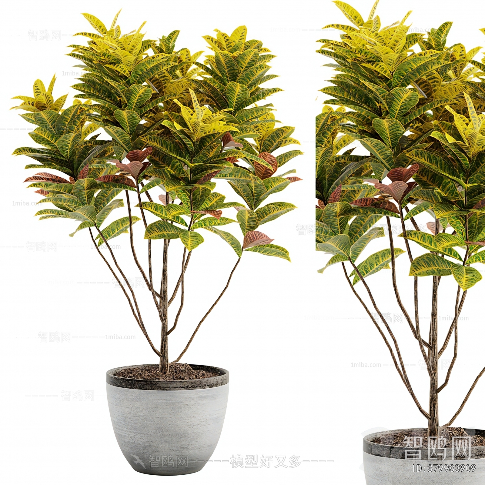 Modern Ground Green Plant Potted Plants
