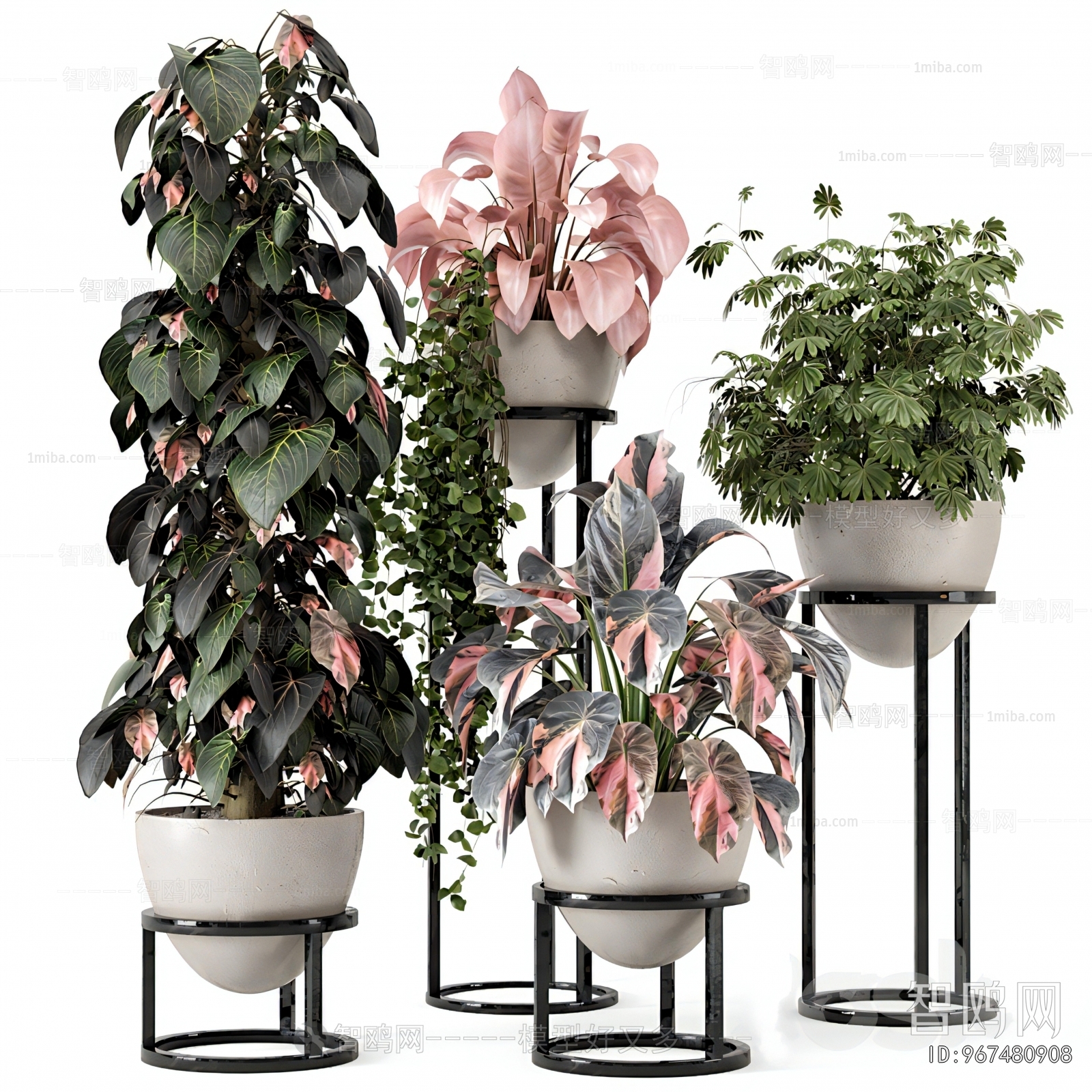 Modern Ground Green Plant Potted Plants