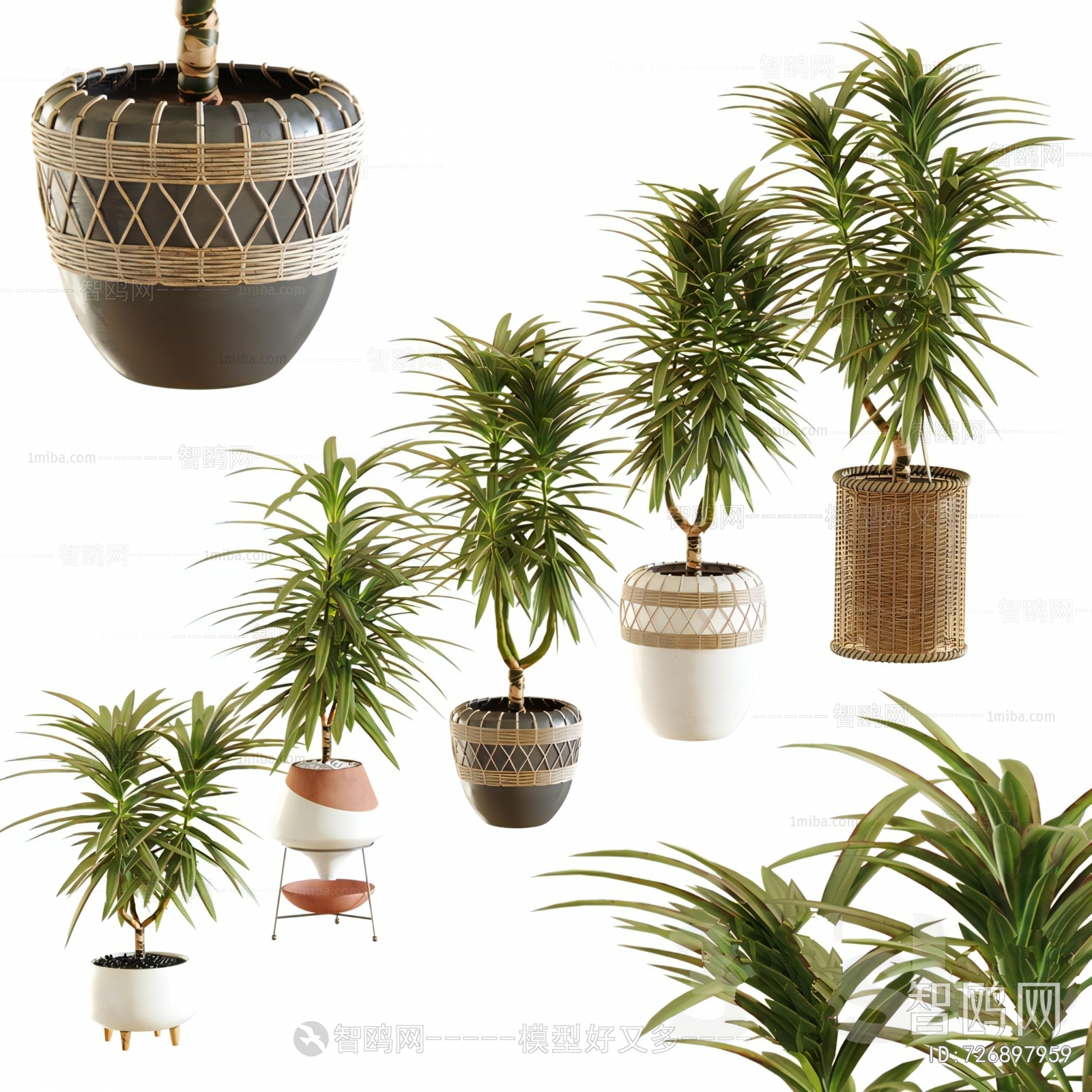 Modern Ground Green Plant Potted Plants