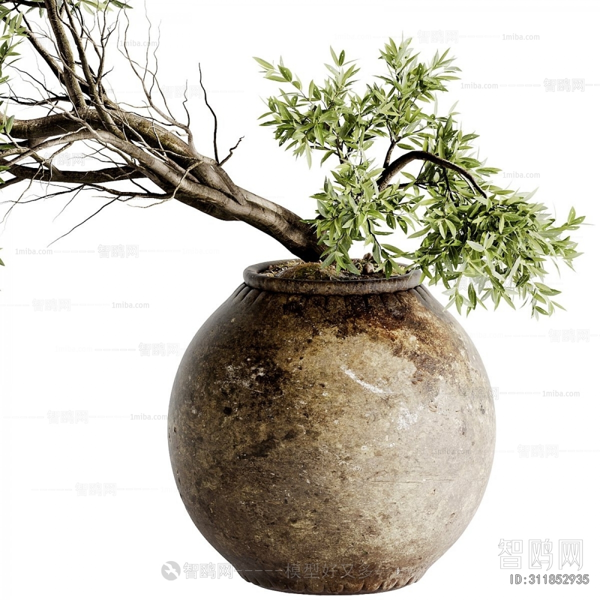 Wabi-sabi Style Ground Green Plant Potted Plants
