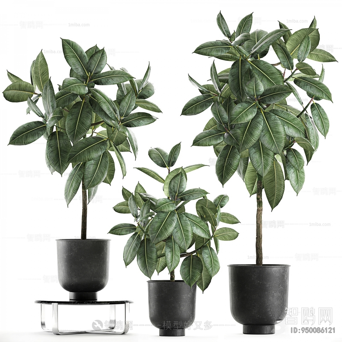 Modern Ground Green Plant Potted Plants