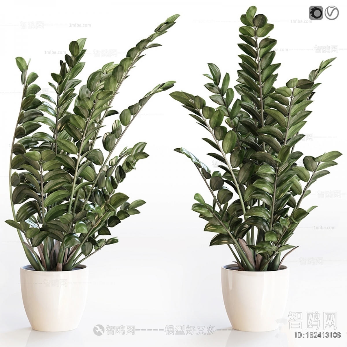 Modern Ground Green Plant Potted Plants