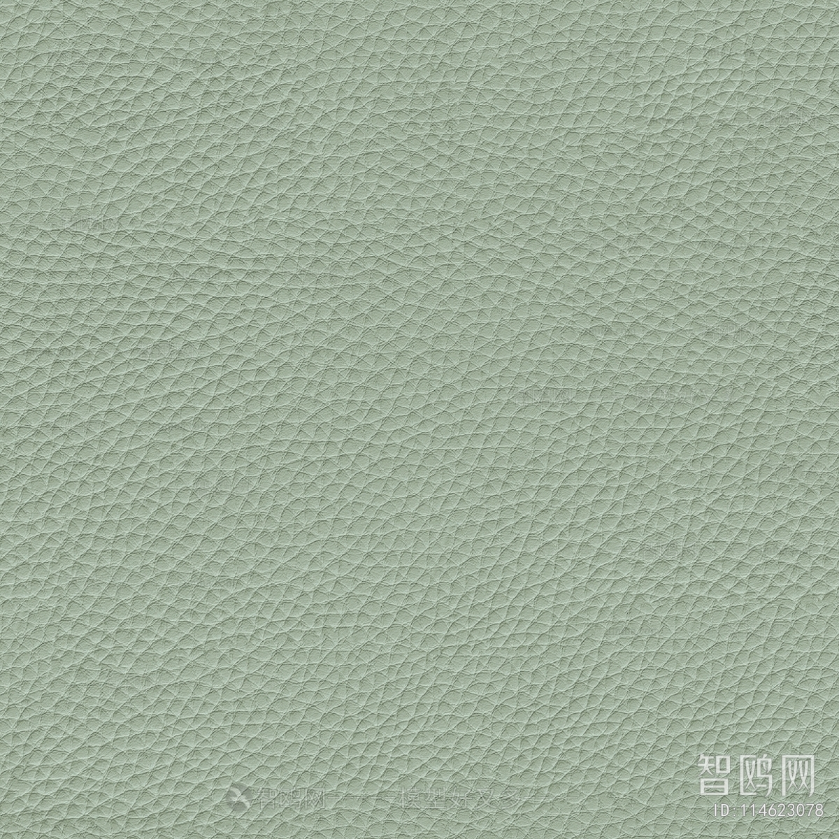 Fine Grain Leather