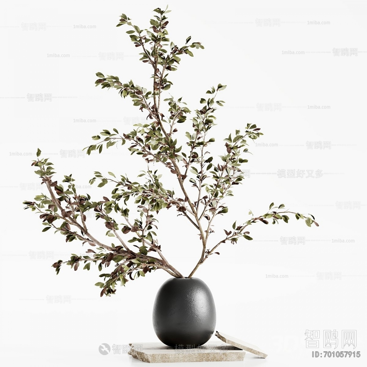 Modern Aquatic Green Plant