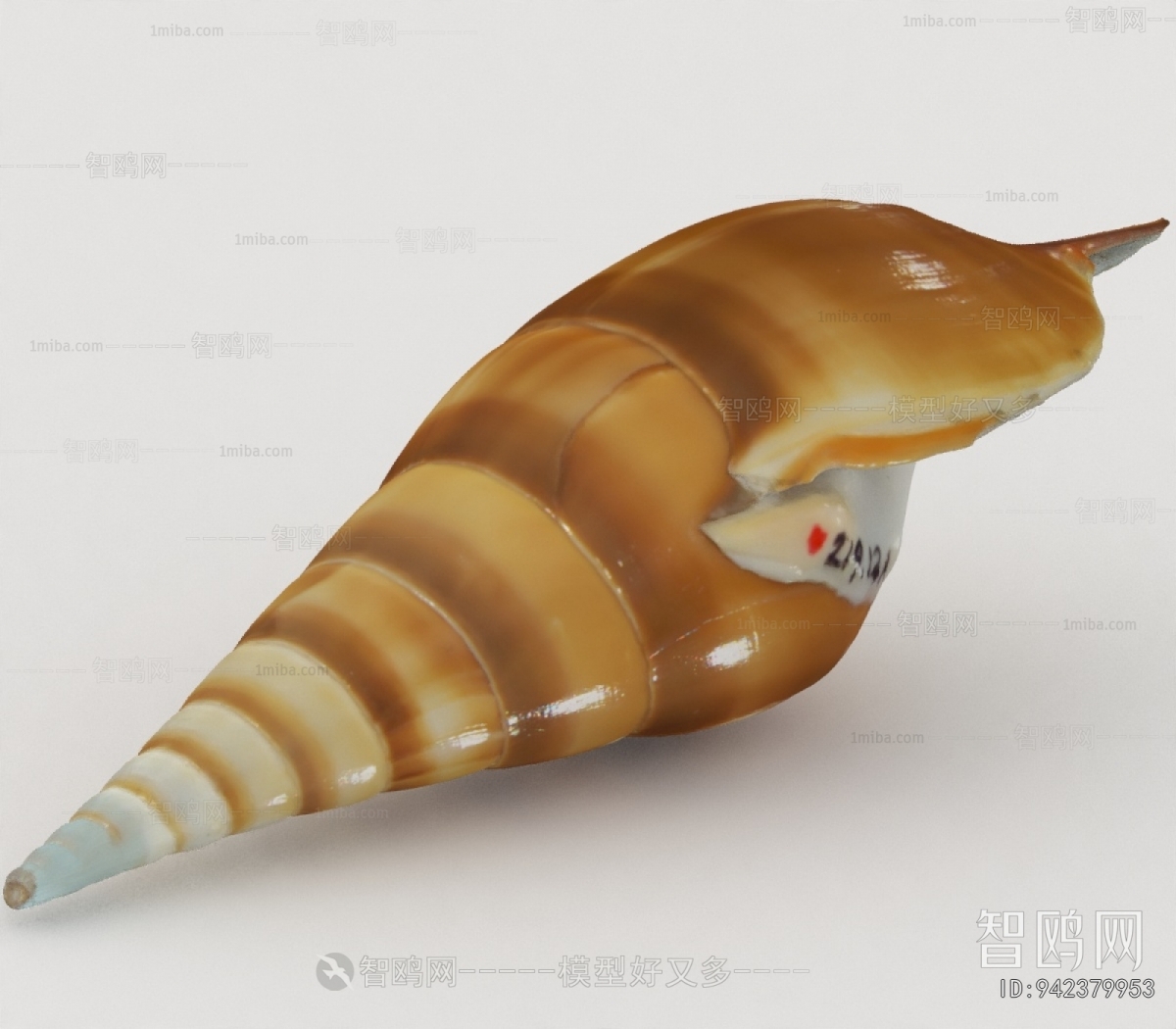 Modern Aquatic Animals