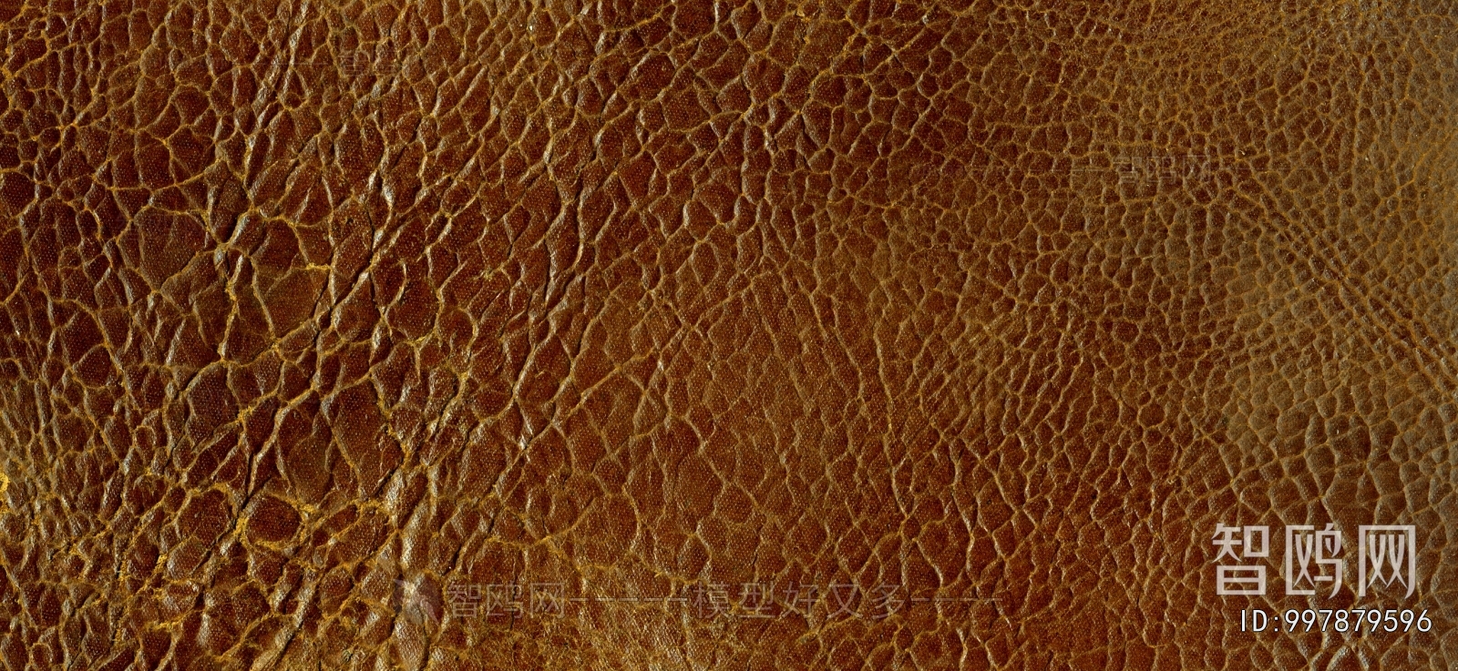 Fine Grain Leather