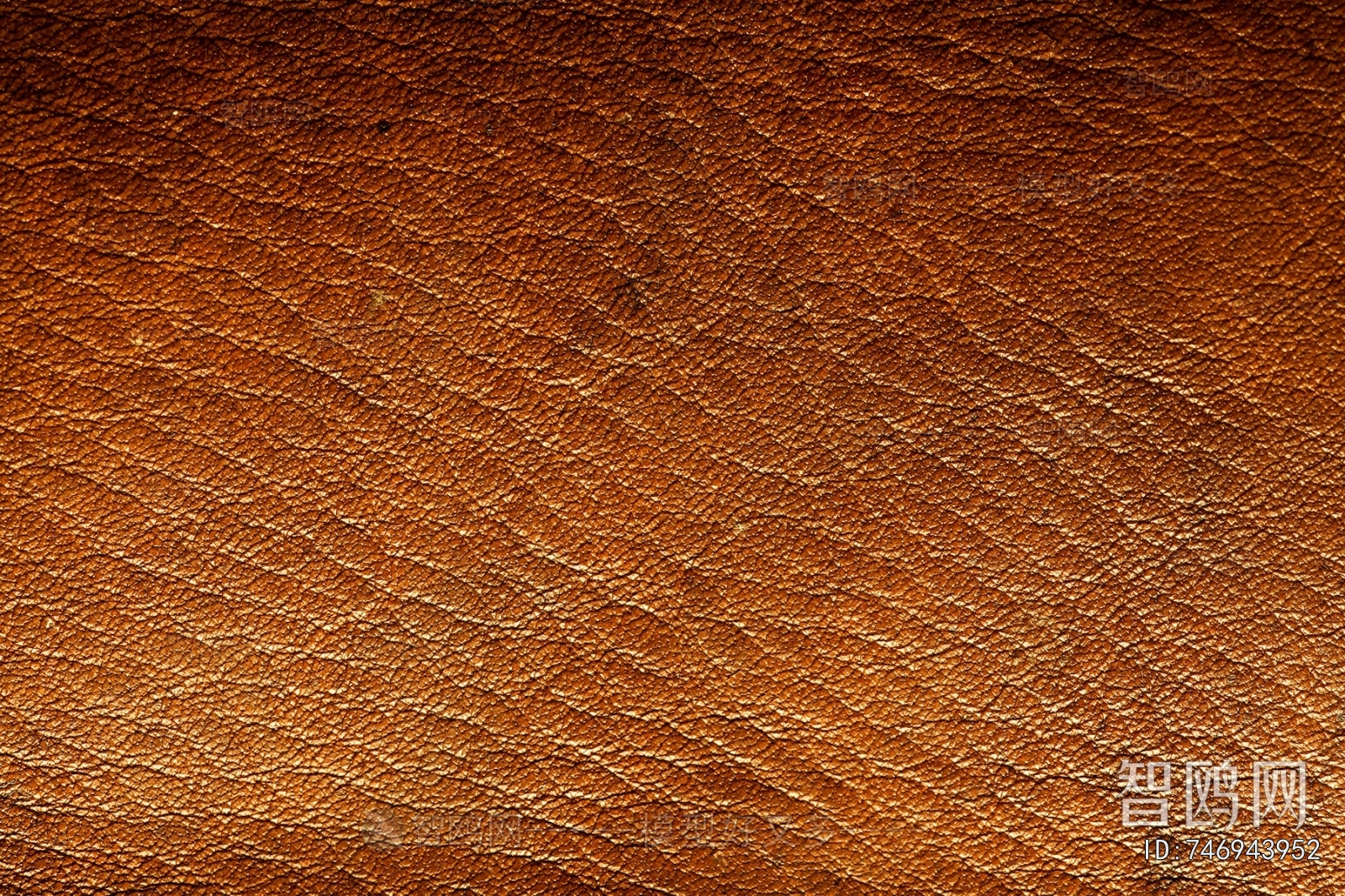 Fine Grain Leather
