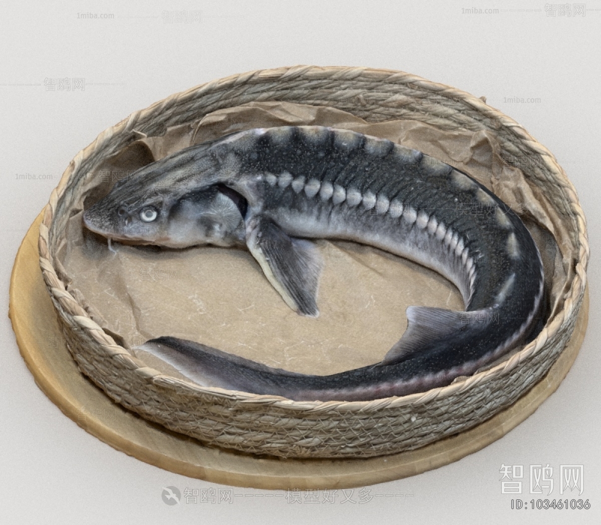 Modern Aquatic Product