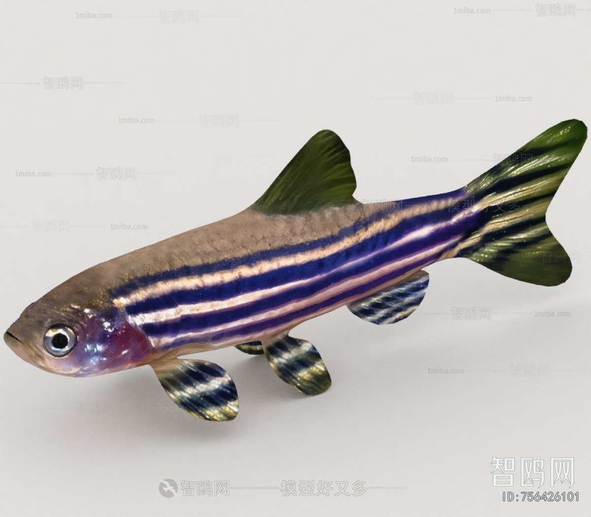 Modern Aquatic Animals