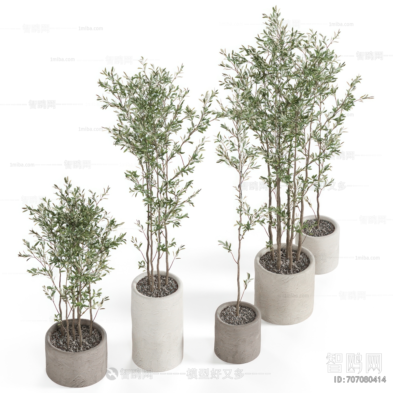 Modern Ground Green Plant Potted Plants