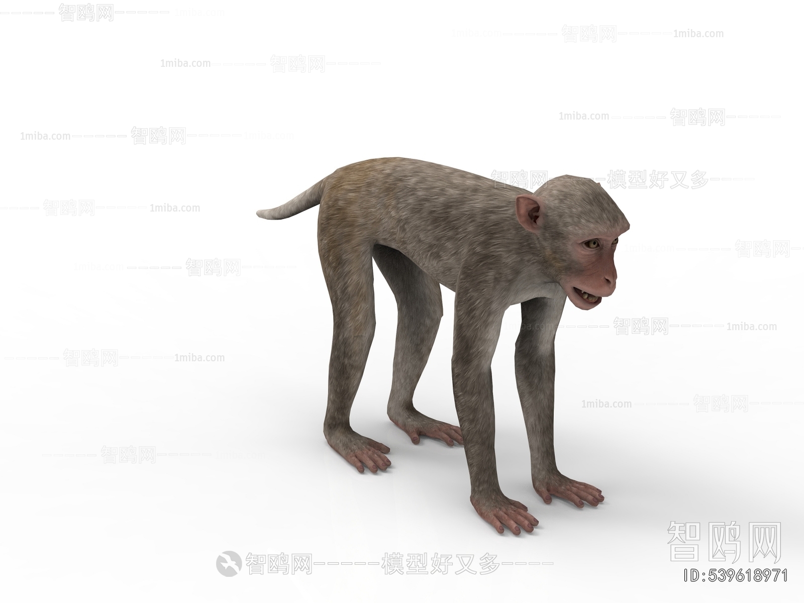 现代猴子