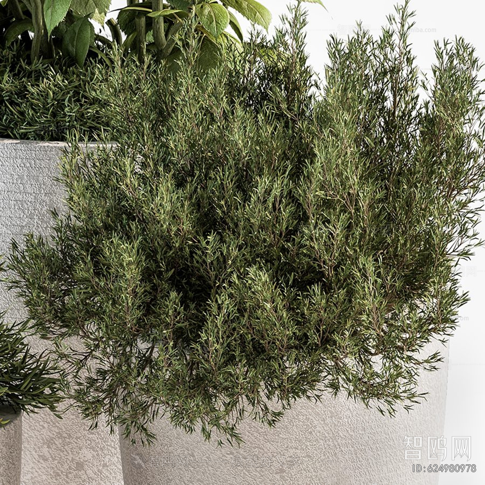 Modern Ground Green Plant Potted Plants