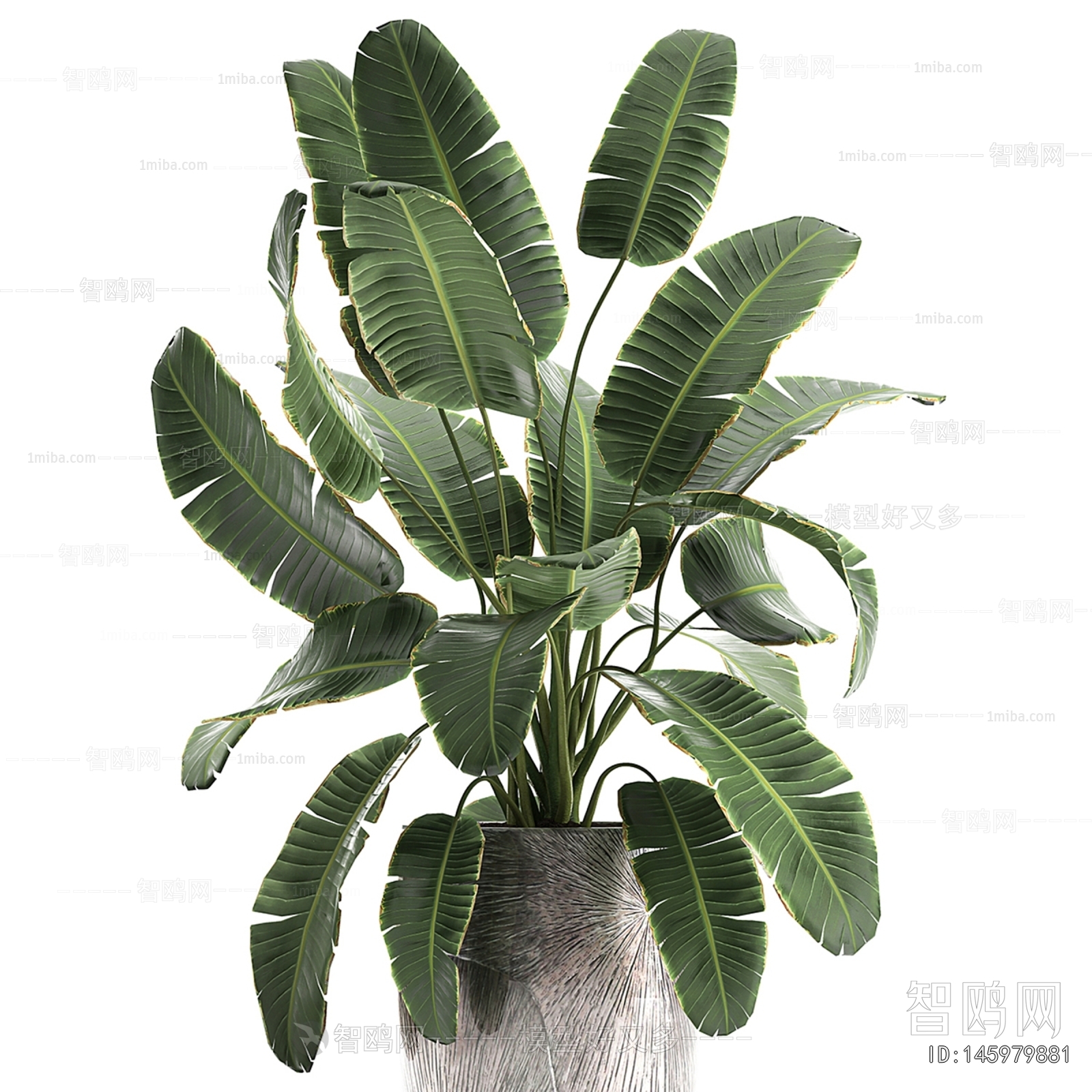 Modern Ground Green Plant Potted Plants