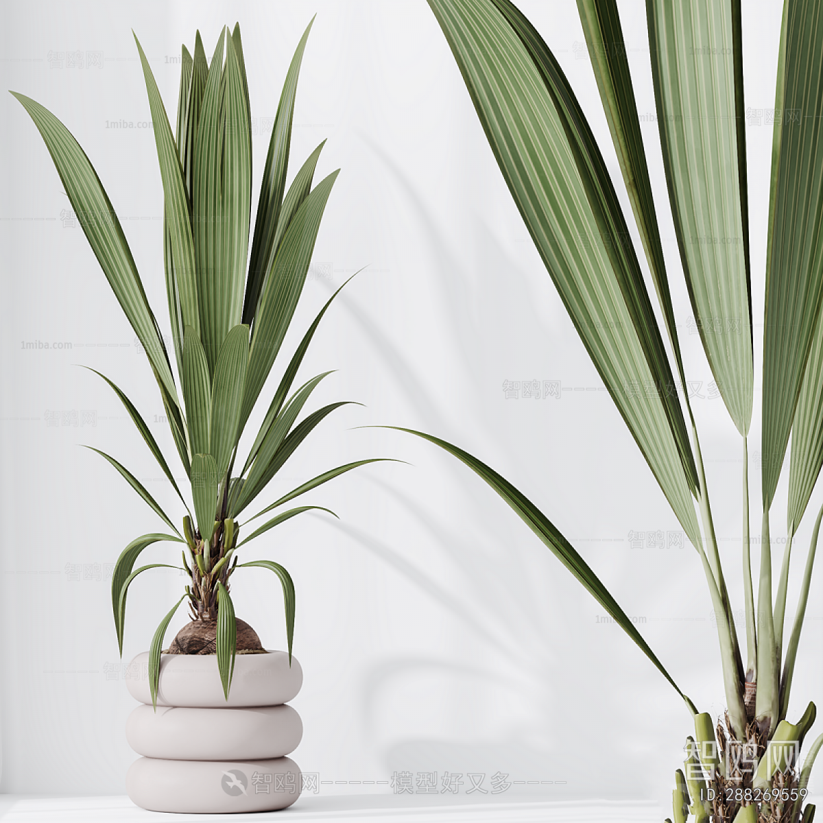 Modern Ground Green Plant Potted Plants