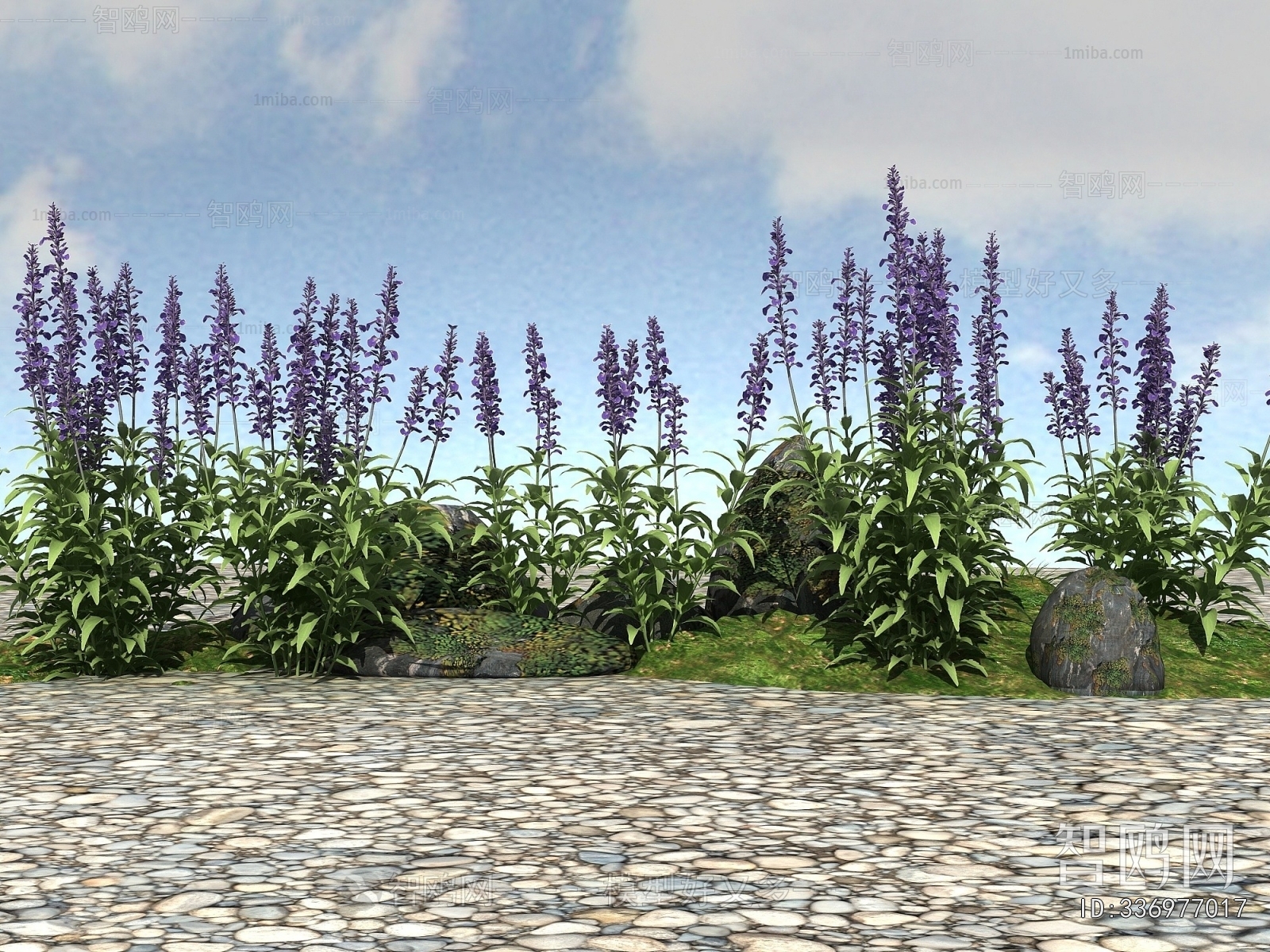 Modern Flowers And Grass