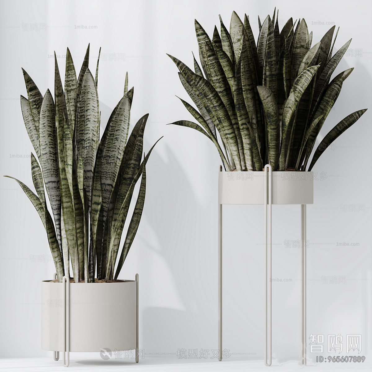 Modern Potted Green Plant