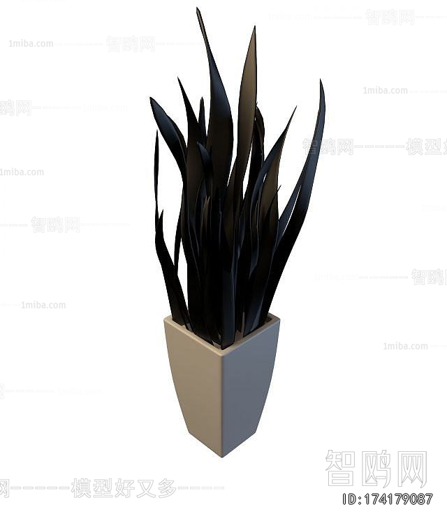 Modern Potted Green Plant