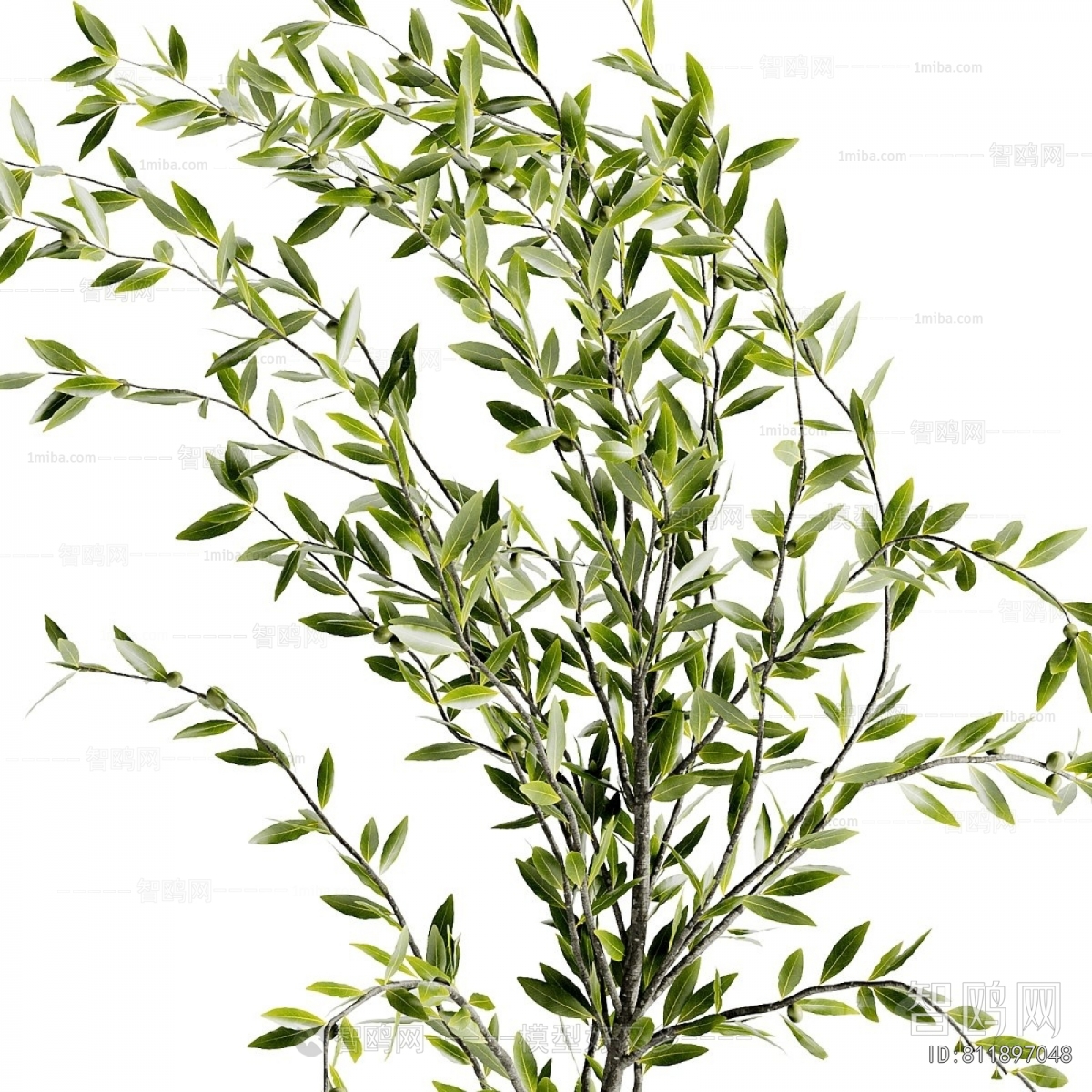 Modern Ground Green Plant Potted Plants