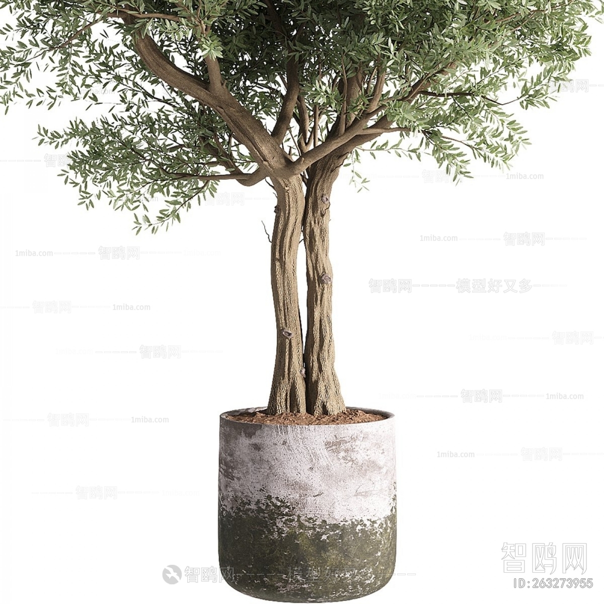 Modern Ground Green Plant Potted Plants