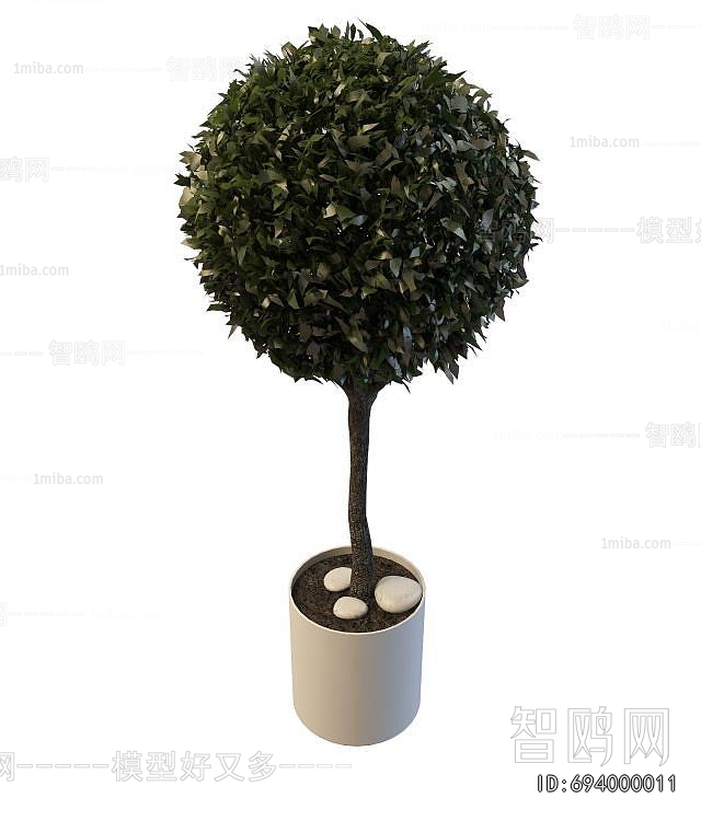 Modern Ground Green Plant Potted Plants