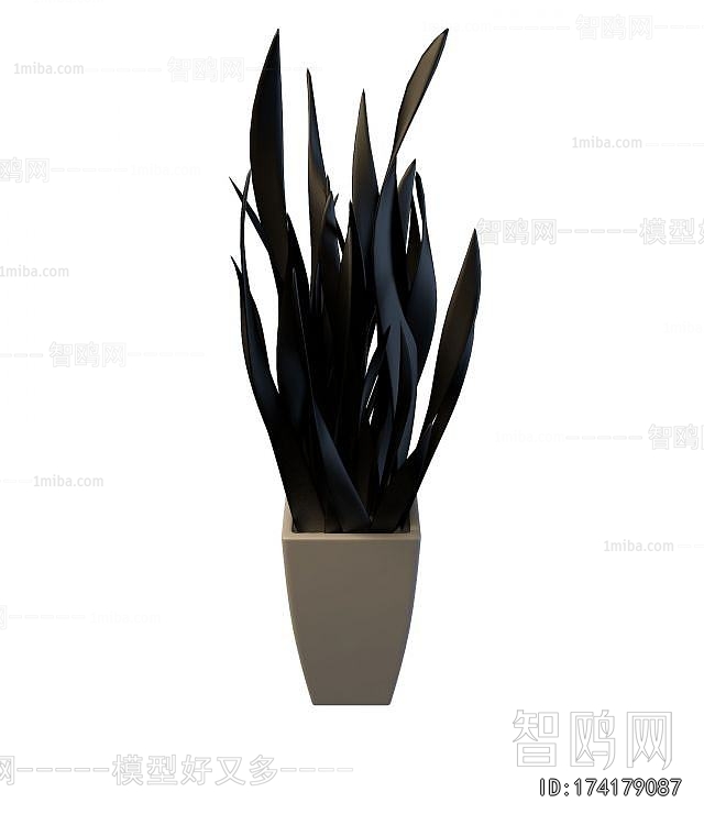 Modern Potted Green Plant