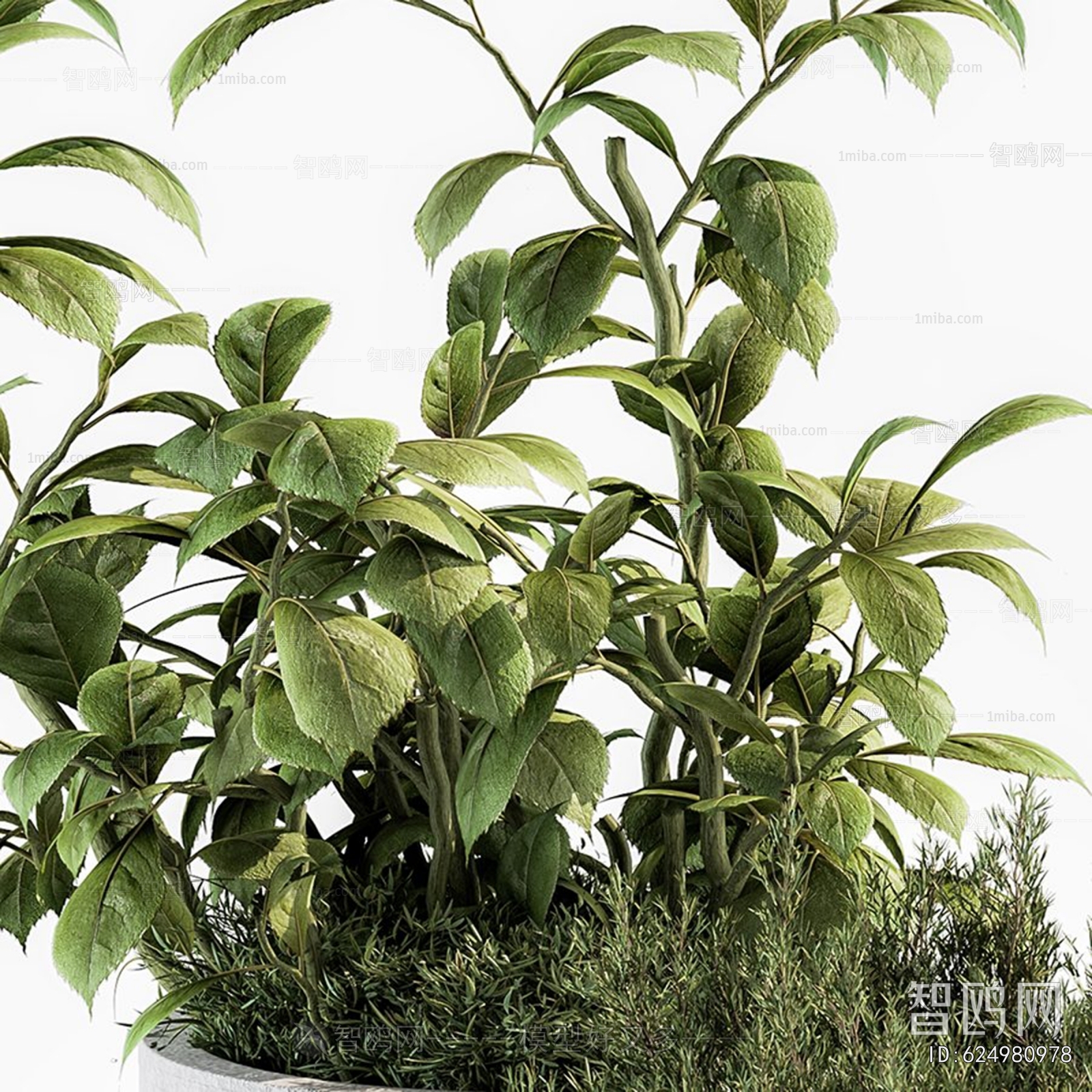 Modern Ground Green Plant Potted Plants