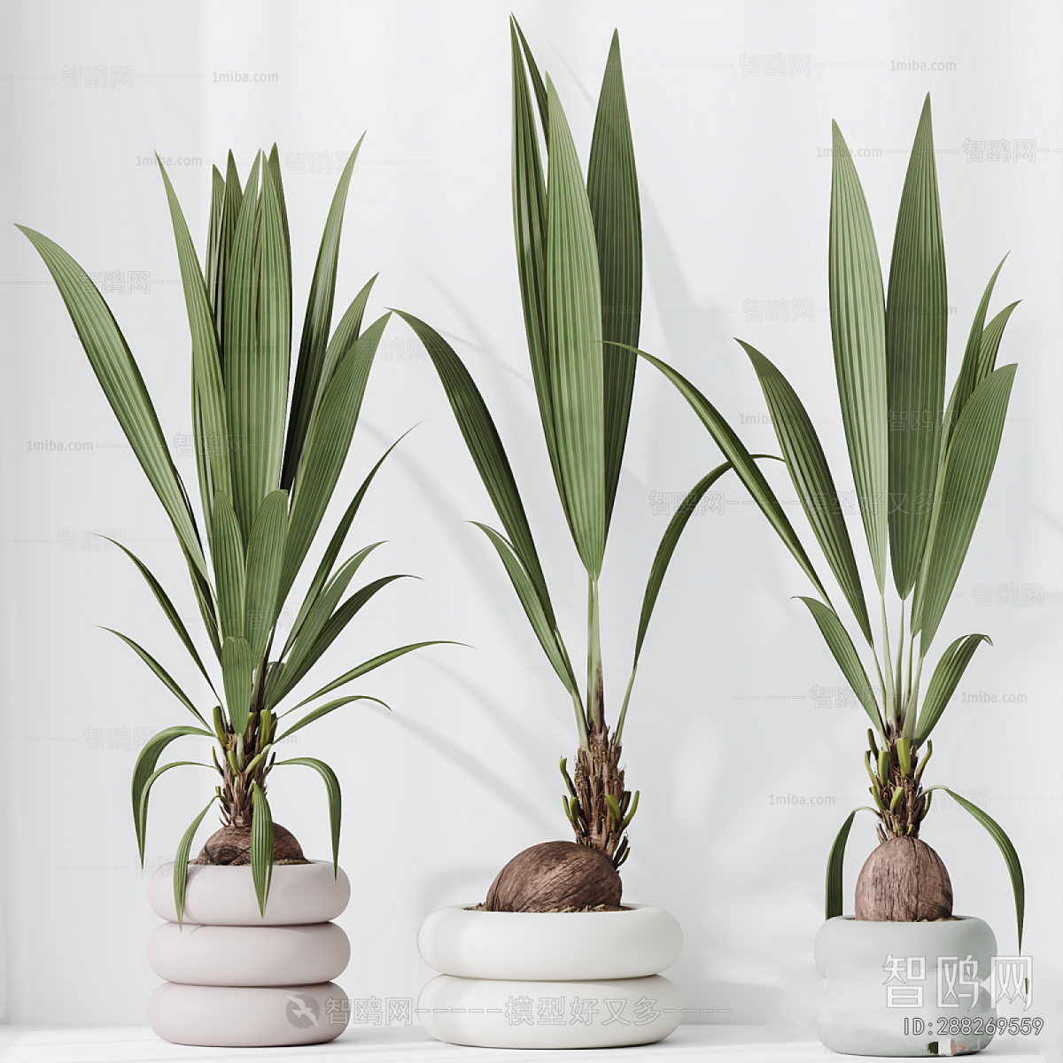 Modern Ground Green Plant Potted Plants