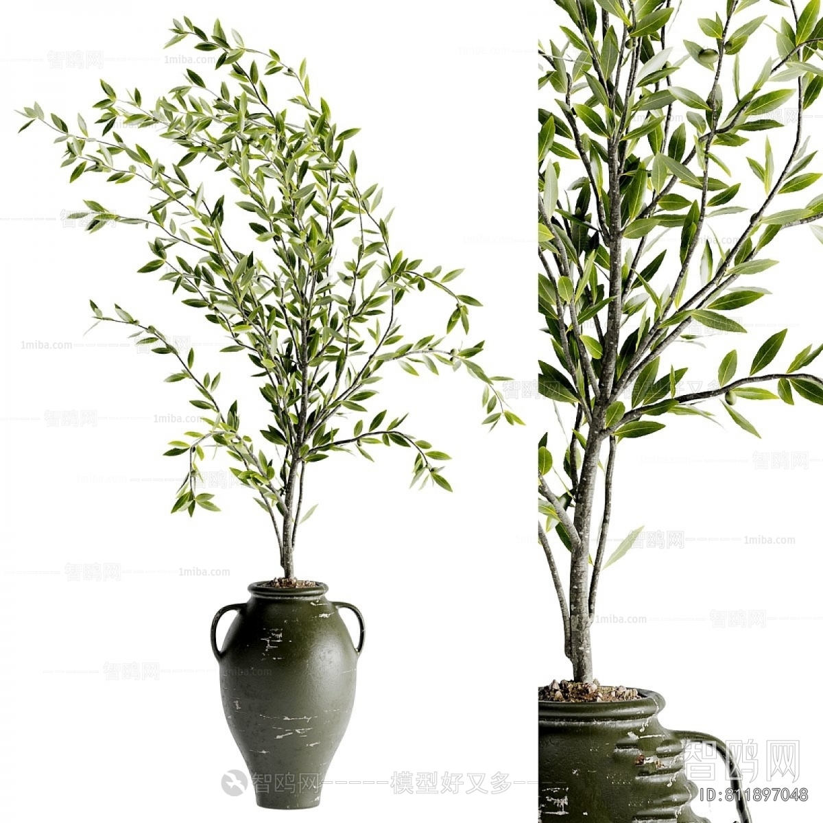 Modern Ground Green Plant Potted Plants