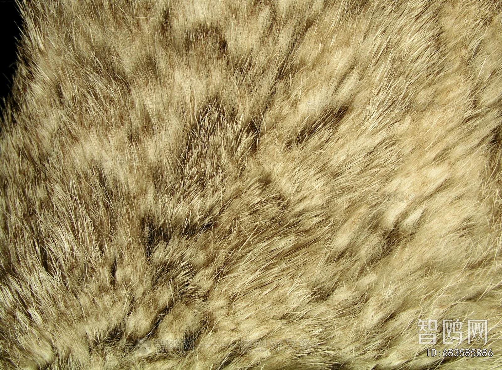 Animal Carpet
