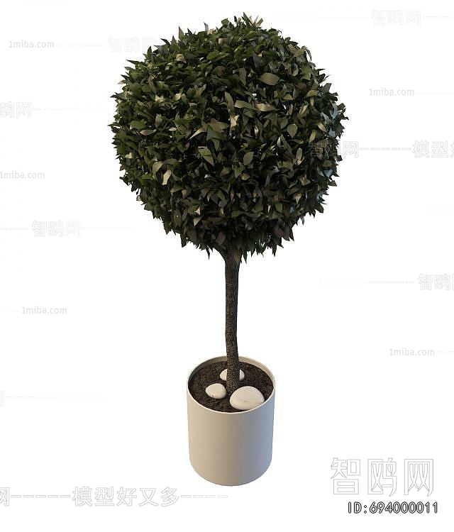 Modern Ground Green Plant Potted Plants