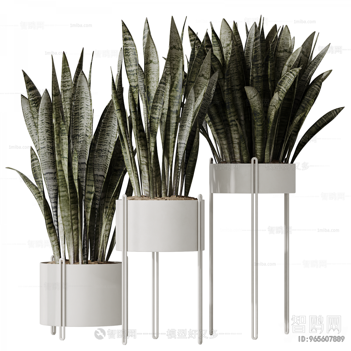 Modern Potted Green Plant