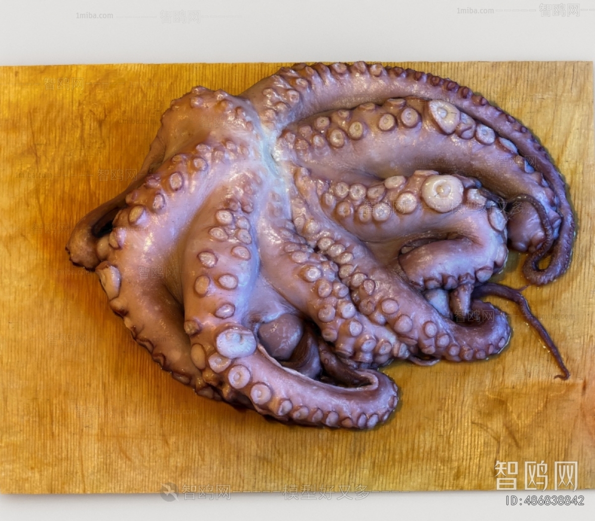 Modern Aquatic Animals