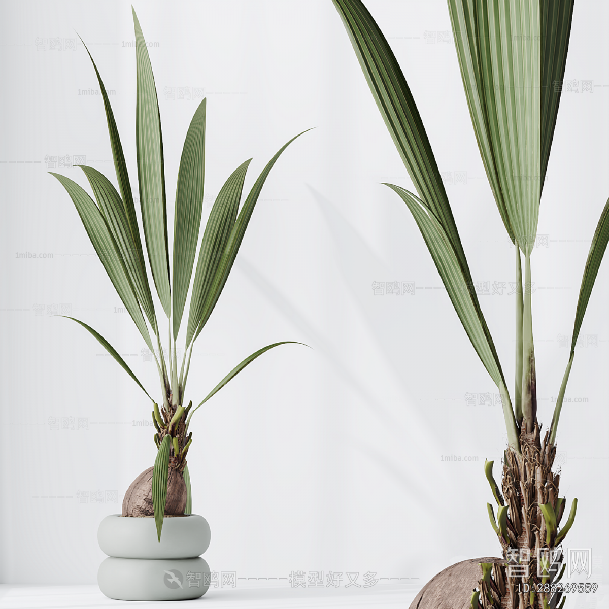 Modern Ground Green Plant Potted Plants
