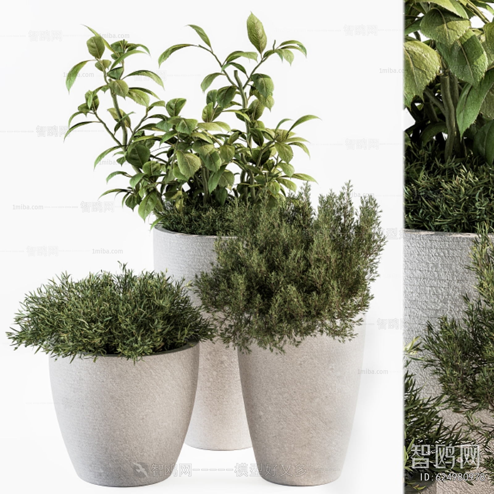 Modern Ground Green Plant Potted Plants