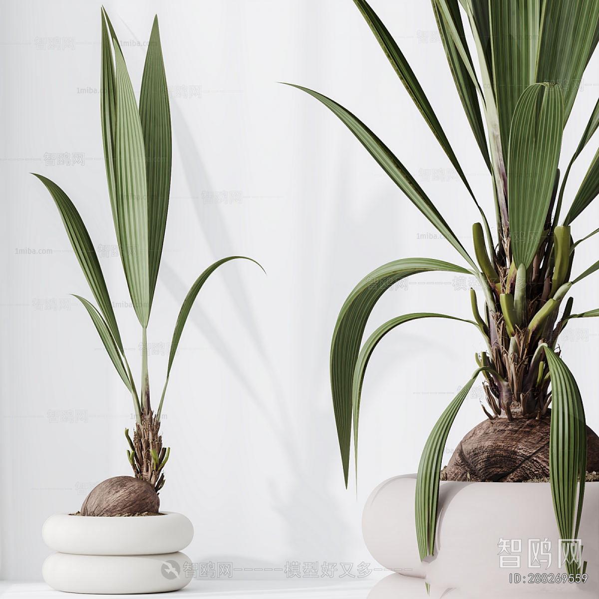 Modern Ground Green Plant Potted Plants