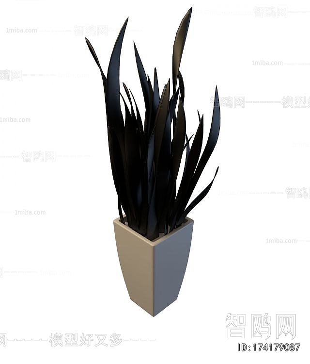 Modern Potted Green Plant